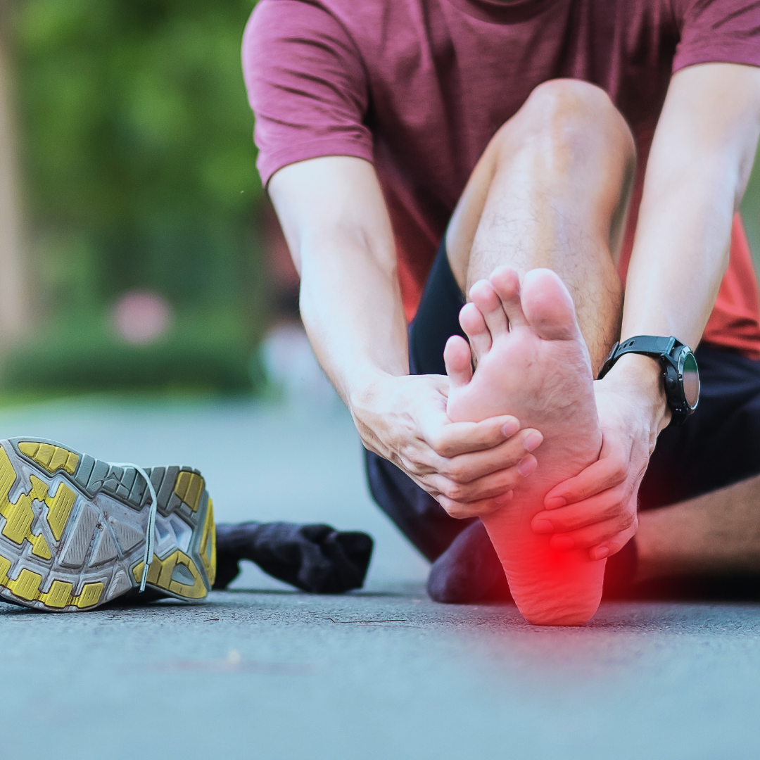 Plantar fascia anatomy illustration